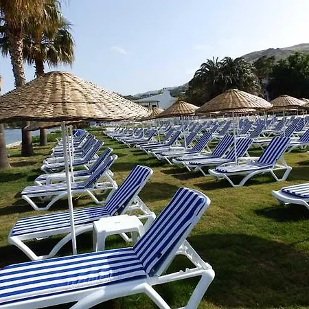 Club Blue White 3*