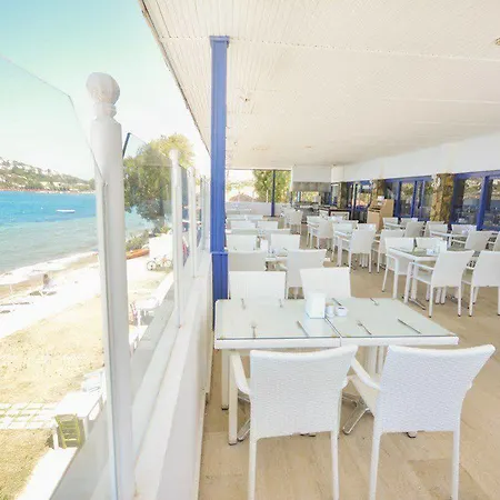 Club Blue White 3*