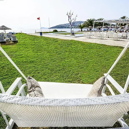 Club Blue White Bodrum